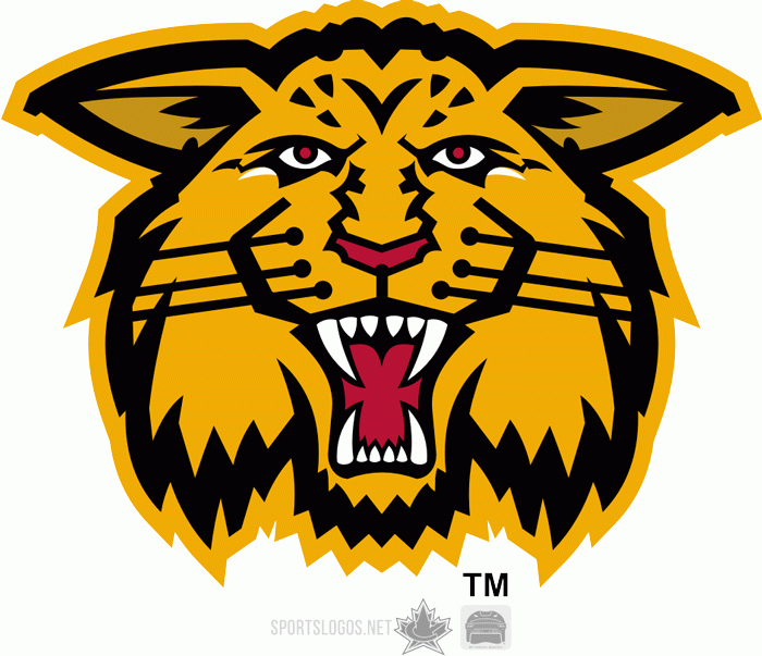 moncton wildcats 1998-2003 alternate logo iron on transfers for clothing
